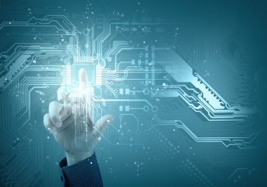 How important are IT solutions to your business?